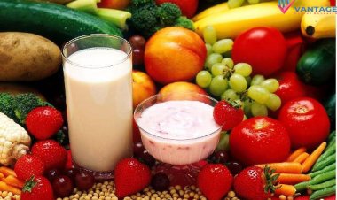Protein Hydrolysis Enzymes Market Size, Trends & Outlook 2025