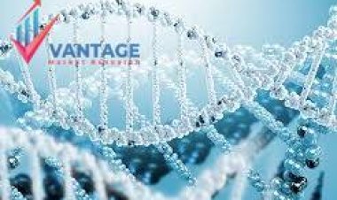 Top Companies in Gene Synthesis Market in 3 Minutes What You Want