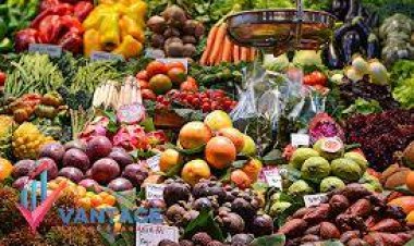 Everything You Wanted to Know About Top Companies in Organic Acids Market