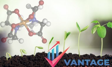 In 10 Minutes, I'll give you the detailed About Top Companies in Metal Chelates Market