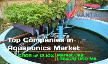 All about Top Companies in Aquaponics Market What You Want to Know in One Click