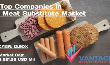 Top Companies in Meat Substitute Market In-depth Information;  Your Key to Success