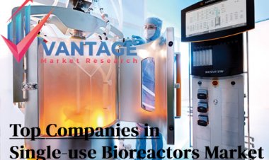 Top Companies in Single-use Bioreactors Market | Don’t Just sit there Click Now, all You Want to Know