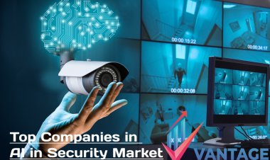 Top Companies in Artificial Intelligence in Security Market | Comprehensive Statistics and Analysis by VMR
