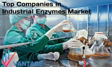 Top Companies in the Industrial Enzymes Market | Growth rate, Insights, Market Outlook by VMR