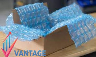 Top Companies in the Protective Packaging Market | Leading Players thorough Report by VMR