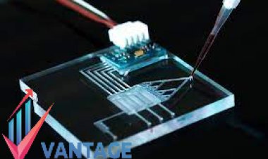 Top Companies in the Microfluid Market | Leading Players Insightful Report by VMR