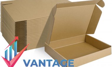Top Companies in Corrugated Boxes Market | Major Players of Industry Growth rate, Historic data by Vantage Market Research