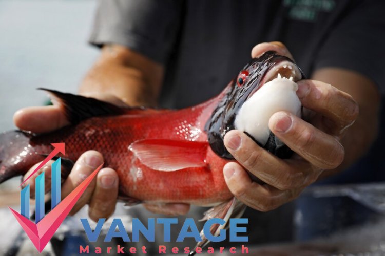 Top Companies in Tuna Fish Market | Leading Players in Industry Size, Share, Market cap | Vantage Market Research