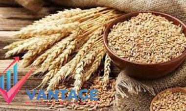Top Companies in Wheat Market | Growth Analysis of Industry Top Key Players by VMR