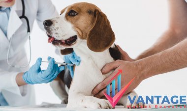 Top Companies in Animal Healthcare Market | Industry Top Players CEVA, Elanco, Zoetis, etc. | Comprehensive Research Report by Vantage Market Research