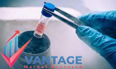 Top Companies in Biobanking Market| Industry Top Players Hamilton, Greiner Holding, Promega, Merck, etc | In-depth Research Report by Vantage Market Research