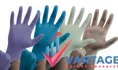 Top Companies in Disposable Gloves Market | Top Major Players of Industry Analysis, Overview by Vantage Market Research