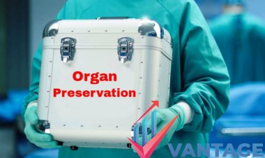 Top Companies in Organ Preservation Market | Key Players In-depth Analysis Research Report 2022-2028 by Vantage Market Research