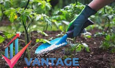 Top Companies in Fertilizer Market | Top Companies of Fertilizer Industry In-depth and Comprehensive Report by Vantage Market Research