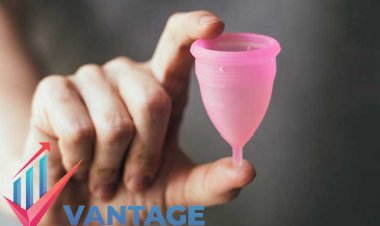 Top Companies in Menstrual Cup Market | Key Players In-depth & Comprehensive Forecast Report | Vantage Market Research