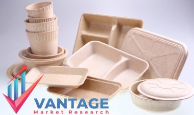 Top Companies in Biopolymer Coating Market | Top Companies in-depth and Comprehensive Research Report | Trend, Size, Share, by Vantage Market Research