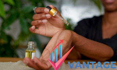 Top Companies in Mosquito Repellent Market | Major Companies Market Forecast, Market Leading Players, Market Historical Data & Future Scope | Vantage Market Research