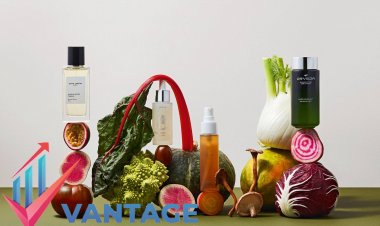 Top Companies in Vegan Cosmetics Market | Top Key Players Market Insights, Statistics, Future Scope, Growth, Sales Volume, | Vantage Market Research