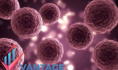 Top Companies in 3D Cell Culture Market | Top Key Players Market Full Research Report | Company Size & Share, Market Insights, Growth Analysis