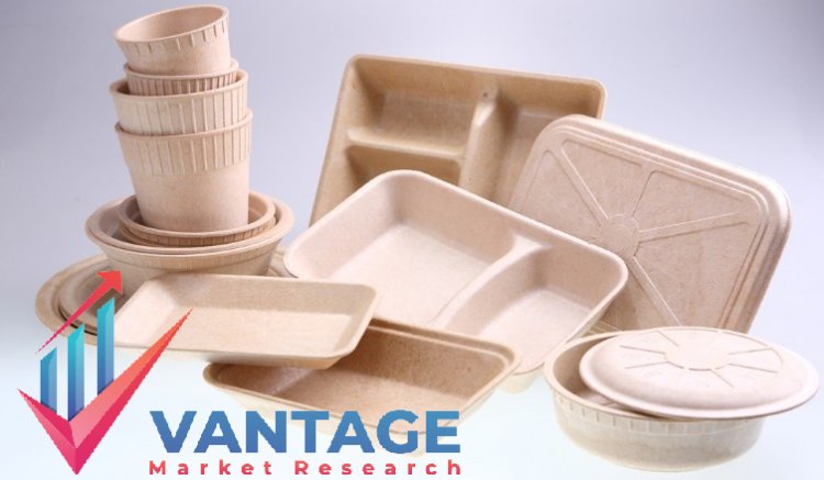 Top Companies in Biopolymer Coating Market | Top Companies in-depth and Comprehensive Research Report | Trend, Size, Share, by Vantage Market Research