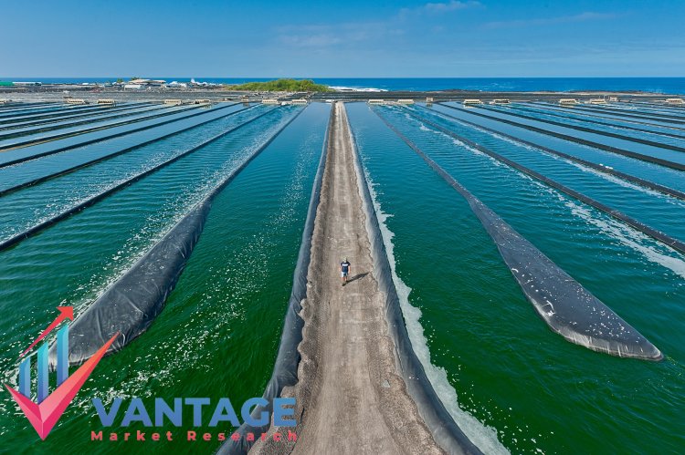 Top Companies in Algae Market | Key Players Growth Analysis, Statistics, Future Scope, Market Demand | Vantage Market Research