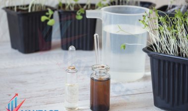 Top Companies in Biostimulants Market | Industry Top Key Players Market Insights, Growth Analysis, Strategies | Vantage Market Research