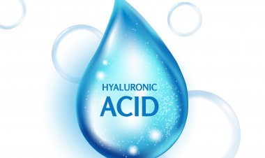 Top Companies in Hyaluronic Acid Market | Leading Companies in Hyaluronic Acid Industry Trends Analysis, Size, Share Comprehensive Research Report
