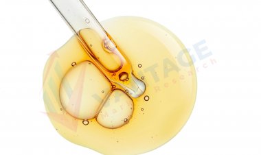 Top companies in Niacinamide Market | Leading Players in Niacinamide Industry Size, Share, Market Insights