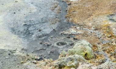 Top Companies in Hydrogen Sulfide Market by Size, Share, Historical and Future Data & CAGR | Report by Vantage Market Research