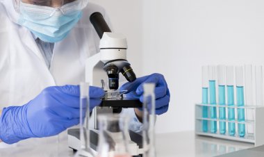 Top Companies in the In Vitro Diagnostics (IVD) Market by Size, Share, Historical and Future Data & CAGR | Report by Vantage Market Research