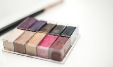 Top Companies in Cosmetic Pigments Market by Size, Share, Historical and Future Data & CAGR | Report by Vantage Market Research