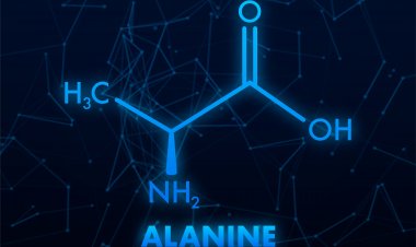 Top Companies in L-Alanine Market by Size, Share, Historical and Future Data & CAGR | Report by Vantage Market Research