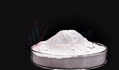 Top Companies in Titanium Dioxide Powder Market by Size, Share, Historical and Future Data & CAGR | Report by Vantage Market Research