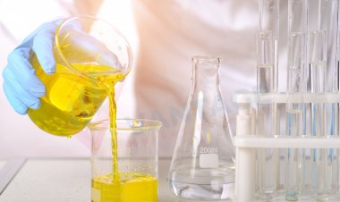 Meilleures entreprises dans Oléochimiques Marché par Taille, partage, données historiques et futures et CAGR | Signaler par Vantage Market Research