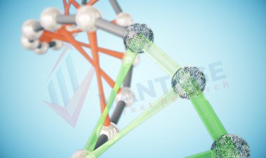 Top Companies in Nanocellulose Market by Size, Share, Historical and Future Data & CAGR | Report by Vantage Market Research