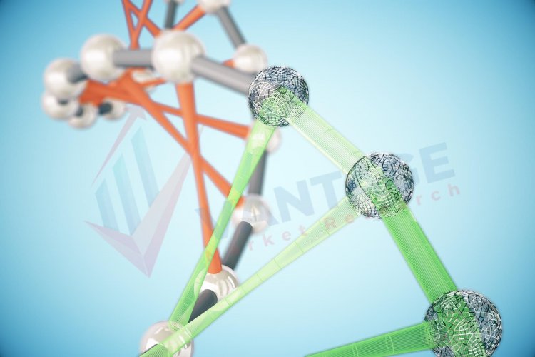 Top Companies in Nanocellulose Market by Size, Share, Historical and Future Data & CAGR | Report by Vantage Market Research