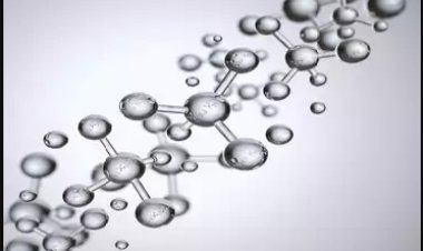 Top Companies in Levulinic Acid Market by Size, Share, Historical and Future Data & CAGR | Report by Vantage Market Research