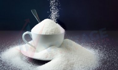 Las principales empresas en el mercado de D-psicosa por tamaño, participación, datos históricos y futuros y CAGR | Informe de investigación de mercado de Vantage