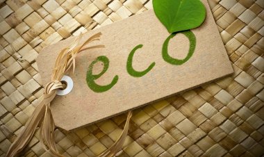 Haut Entreprises dans Éco Fibres Marché par Taille, partage, historique et données futures & TCAC | Rapport de Vantage Market Research