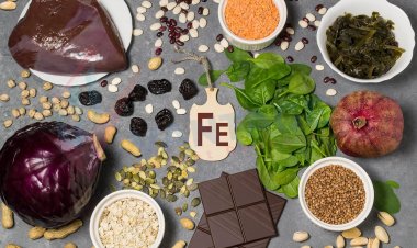 Bioaktiv Zutaten Und Produkt Markt Größe zu erreichen 52,3 Milliarden Dollar bei einer CAGR von 6,5 % bis 2028