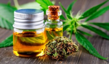 Cannabidiol Markt Größe soll bis 2030 47.22 Milliarden US-Dollar bei einer CAGR von 21.3 % erreichen