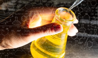 Top Companies in N-Butanol Market by Size, Share, Historical and Future Data & CAGR | Report by Vantage Market Research