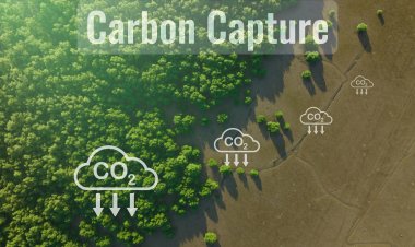 Top Companies in Carbon Capture and Sequestration Market by Size, Share, Historical and Future Data & CAGR | Report by Vantage Market Research