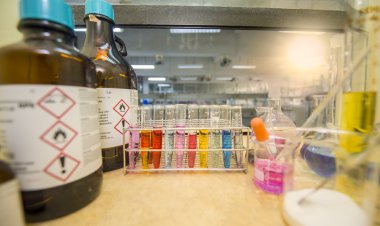 Top Companies in Pharmaceutical Excipients Market by Size, Share, Historical and Future Data & CAGR | Report by Vantage Market Research