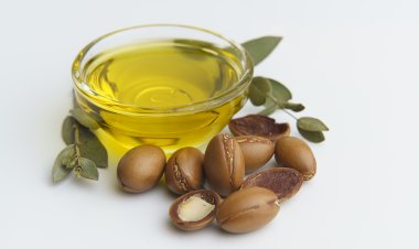 Top Companies in Jojoba Oil Market by Size, Share, Historical and Future Data & CAGR | Report by Vantage Market Research