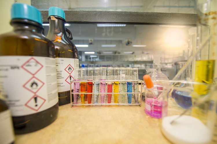 Top Companies in Pharmaceutical Excipients Market by Size, Share, Historical and Future Data & CAGR | Report by Vantage Market Research