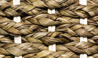 Top Companies in Abaca Fiber Market by Size, Share, Historical and Future Data & CAGR | Report by Vantage Market Research
