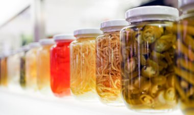 Top Companies in Food Preservatives Market by Size, Share, Historical and Future Data & CAGR | Report by Vantage Market Research