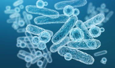 Global Eubiotics Market Size to Reach $9.63 Billion at a CAGR of 8.9% by 2030